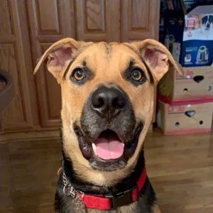 Meet your Posher, Samantha